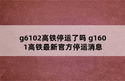 g6102高铁停运了吗 g1601高铁最新官方停运消息